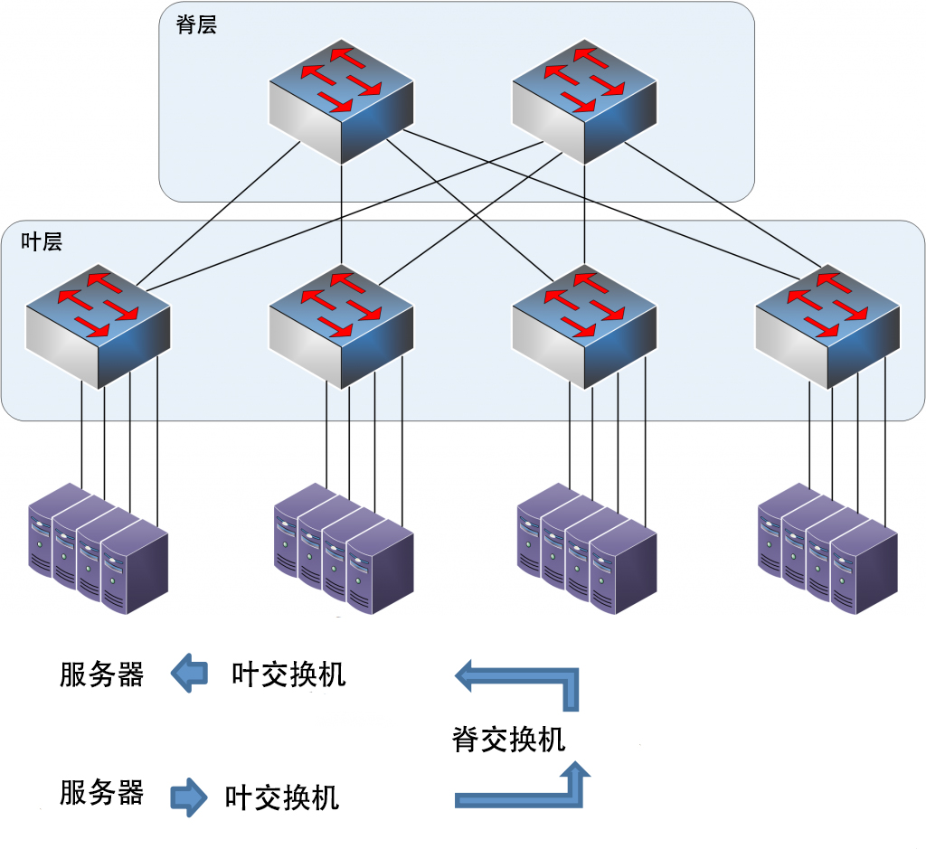 叶脊拓扑网络结构