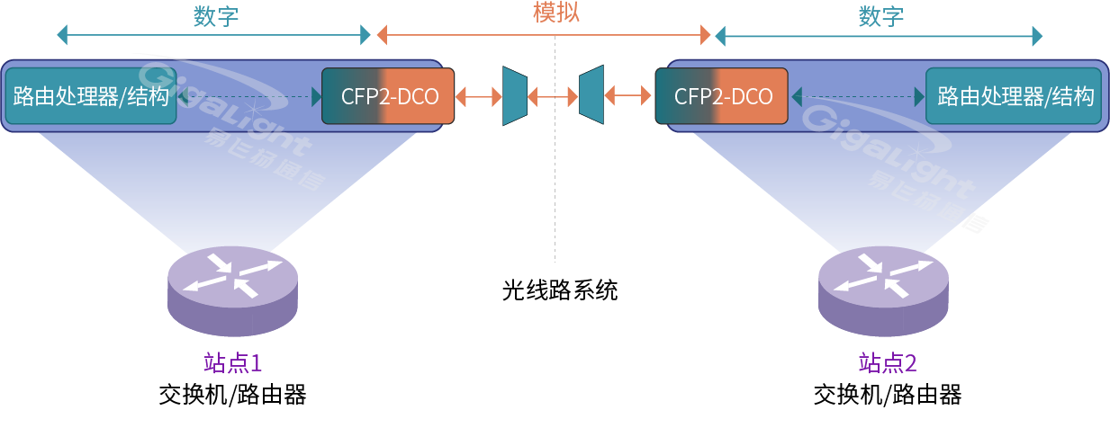 图3：路由器或交换机内的DCO DWDM传输