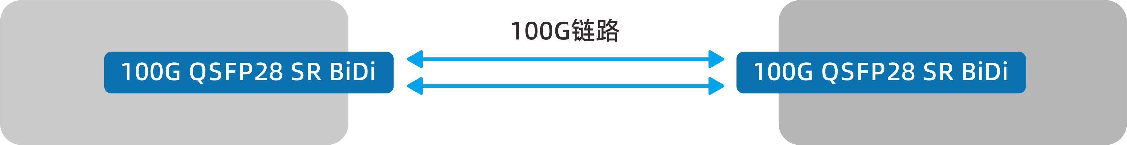 100G-BIDI