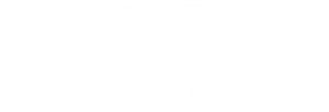 gigalight-logo-cn-white